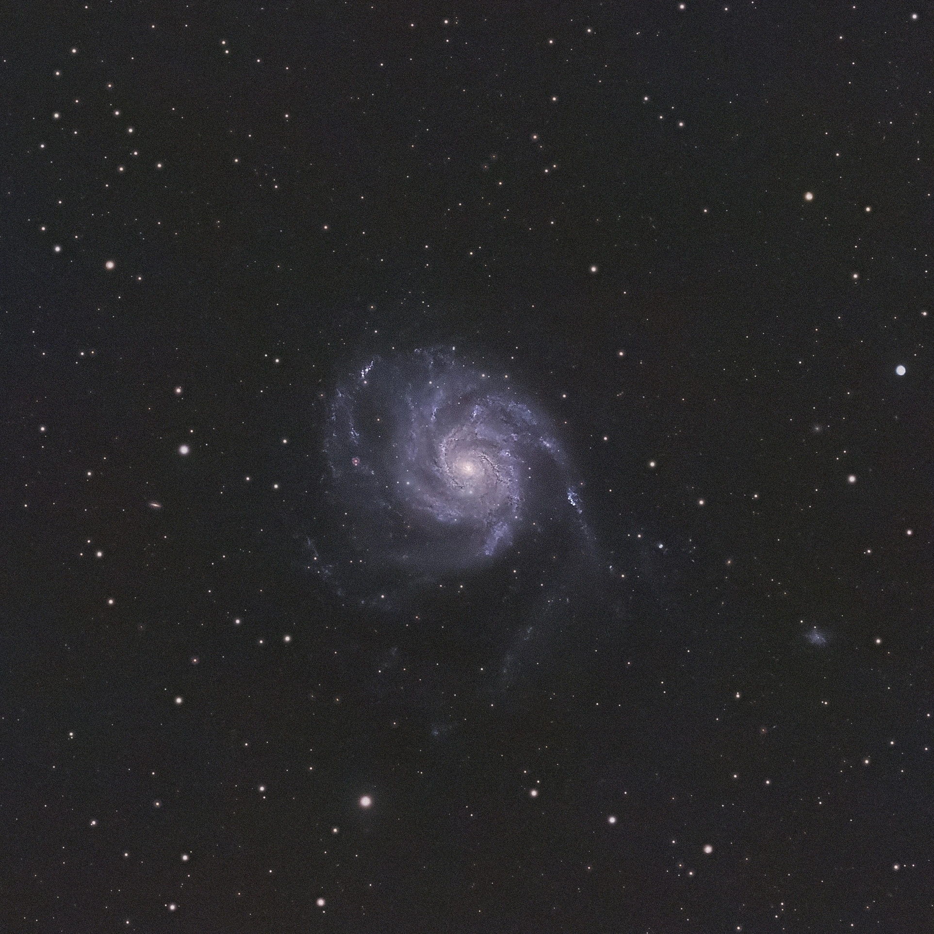 The Piinwheel Galaxy (NGC 5457)