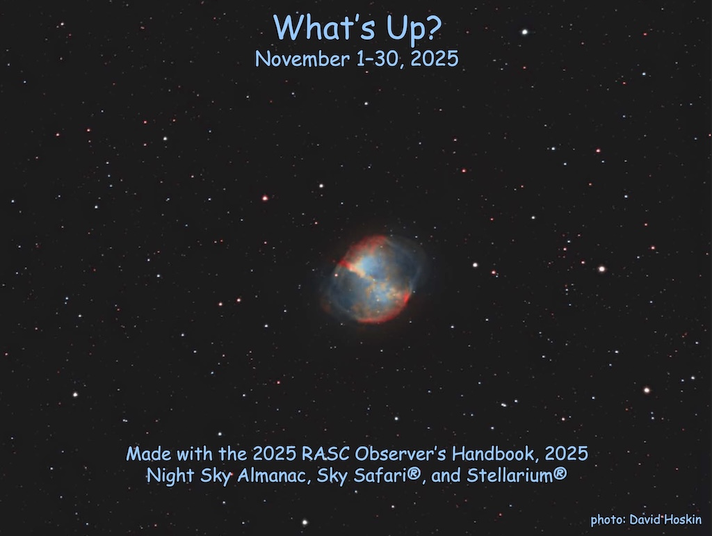 What's Up for Oct 2025